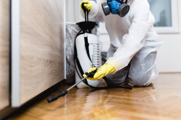 Best Pest Control Near Me in Thermalito, CA