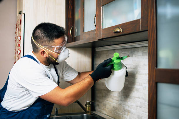 Best Pest Removal Services  in Thermalito, CA