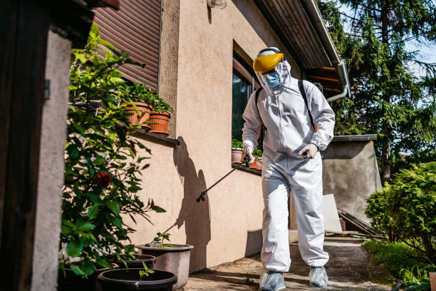 Best Best Pest Control Companies  in Thermalito, CA