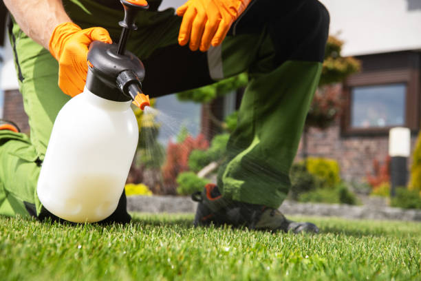 Best Bed Bug Extermination  in Thermalito, CA