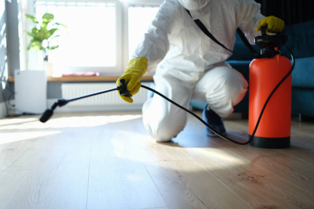 Professional Pest Control in Thermalito, CA