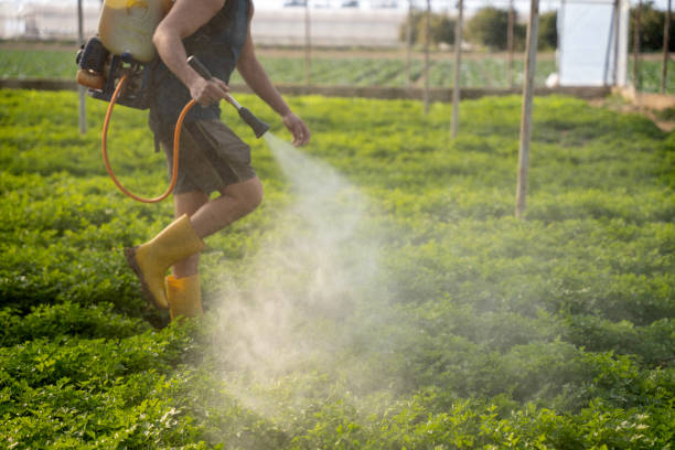 Wildlife Control Services in Thermalito, CA